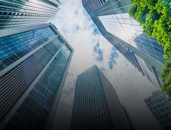 Sawai Group Holdings